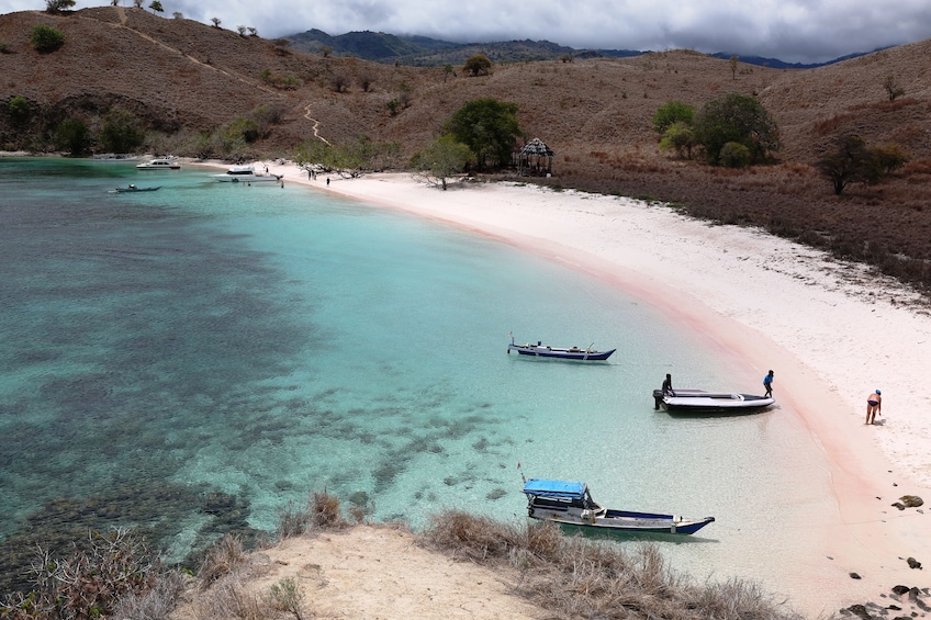 2-Day Komodo & Rinca Islands Adventure