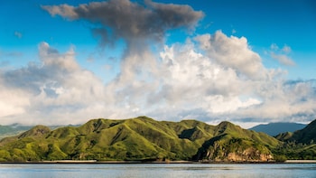 2-Day Komodo & Rinca Islands Adventure