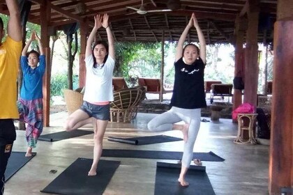 Meditation and Yoga Retreat in Central Province, Sri Lanka