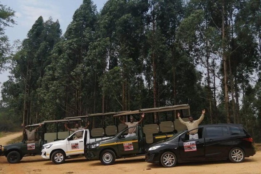 Kruger National Park Morning Safari