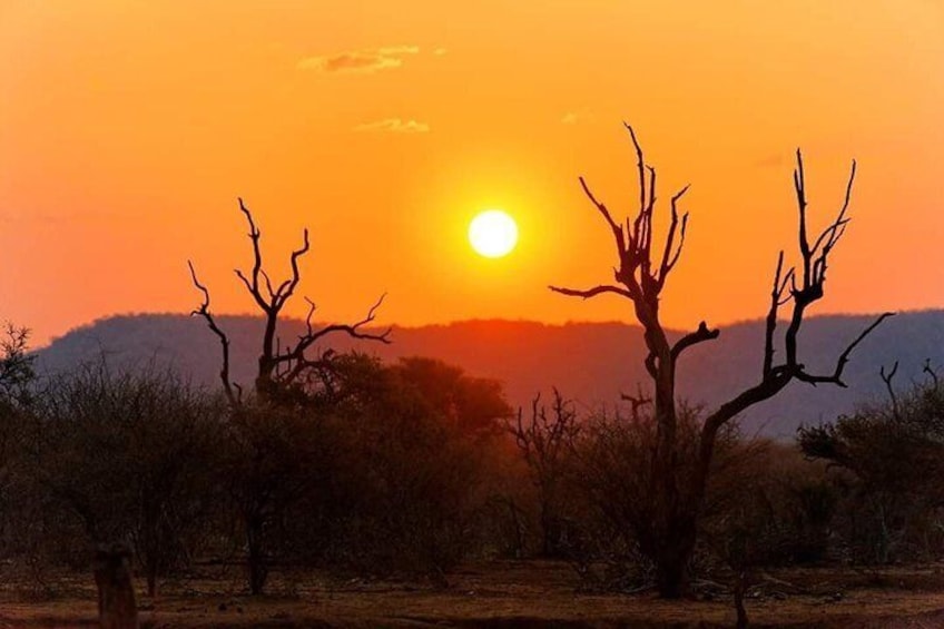 Kruger National Park Night Safari (4x4 Jeep)