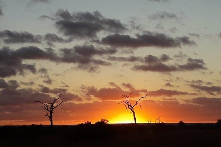 Kruger National Park Night Safari (4x4 Jeep)