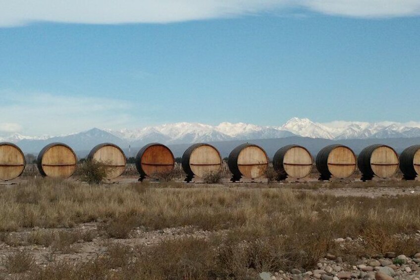 MTB - A tour of the wineries and their vineyards