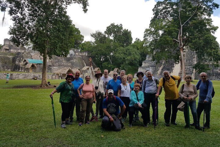 Surprising Tikal Collective VIP Tour