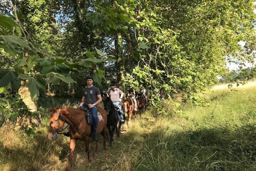 Horse ride with family near Fontevraud
