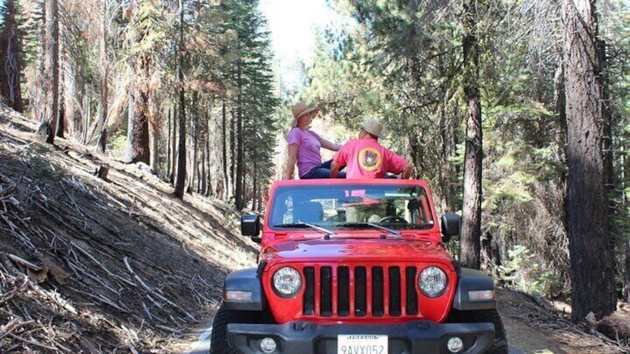 Taking a break in the woods