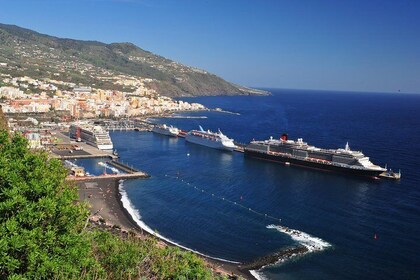 Special cruise tour Centre and South La Palma (Price per car not per person...