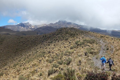 Discover Frailejones in Los Nevados National Natural Park (2 days)