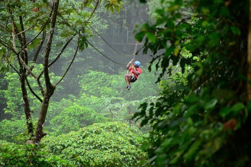 Canopy Tour + Tarzan Swing + White Water Rafting