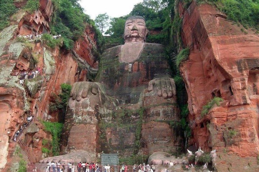 Private Day Tour to Chengdu from Beijing by Air: Leshan Giant Buddha and Pandas