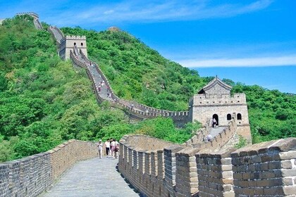 2-Day Private Tour from Chengdu by Train and Air:Highlights of Xi'an and Be...