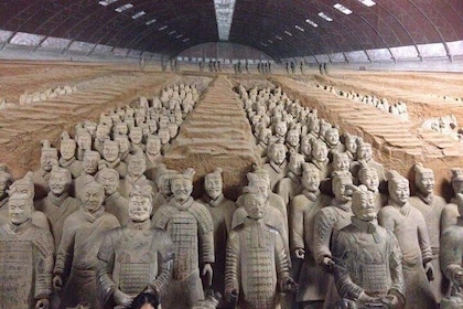 Private Chengdu Bullet Train Trip to Xi'an: Terracotta Warriors and City Wa...