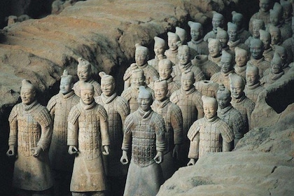 All-inclusive 3-Day Private Tour of Xi'an and Beijing from Xiamen with Hote...