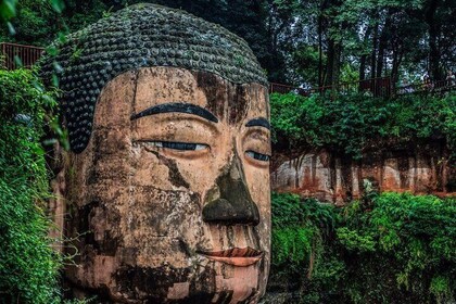 Chengdu One Day Trip from Xiamen by Air: Leshan Giant Buddha, Pandas and Mo...