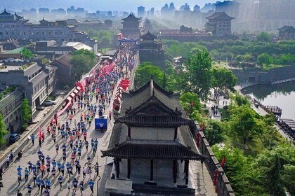 All-inclusive Private 2-Day Tour of Xi'an Highlights from Chongqing with Ho...