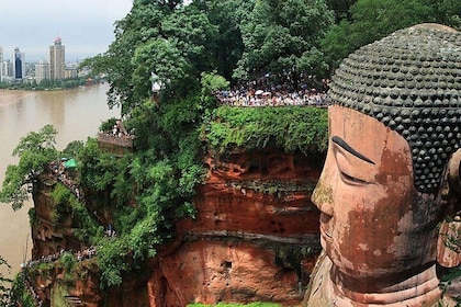 2-Day Private Tour to Chengdu City Highlights+ Leshan Buddha from Beijing b...