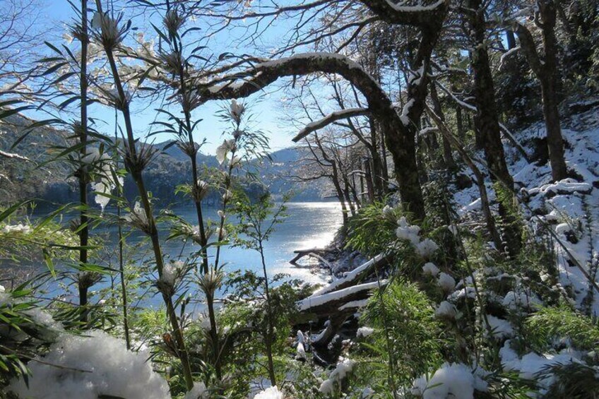 Huerquehue National Park