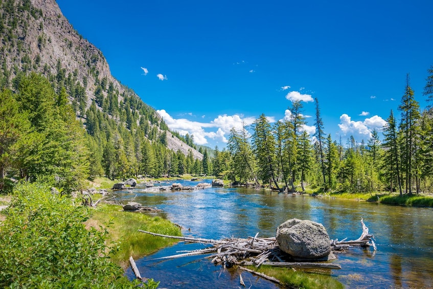 Grand Teton & Yellowstone Self-Guided Driving Audio Tours Bundle