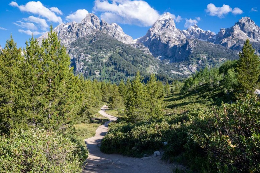 Grand Teton and Yellowstone Self-Guided Audio Driving Tour Bundle