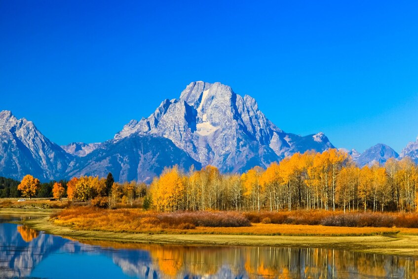 Grand Teton & Yellowstone Self-Guided Driving Audio Tours Bundle