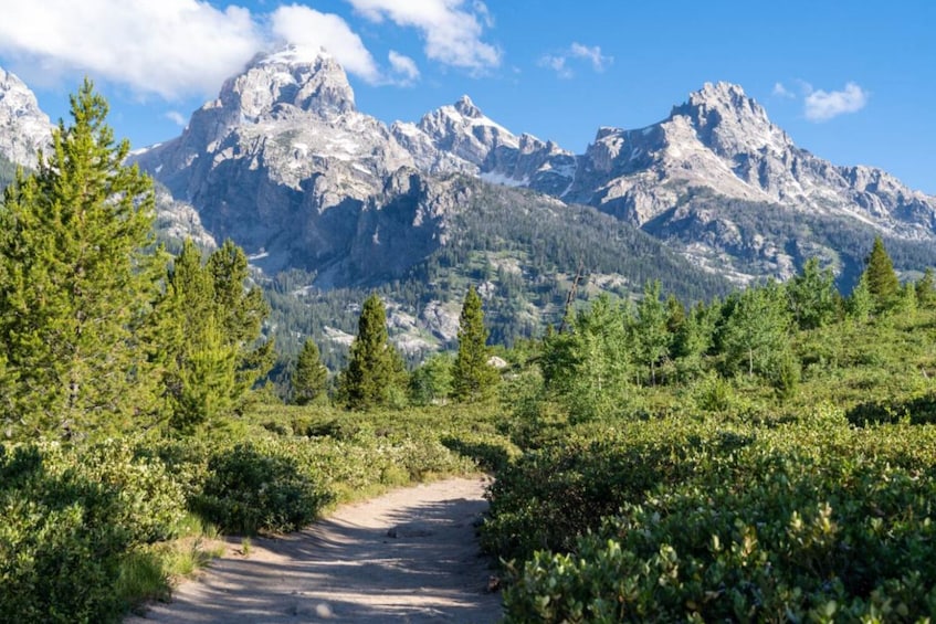 Grand Teton & Yellowstone Self-Guided Driving Audio Tours Bundle