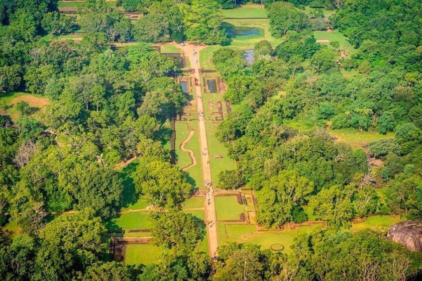 Day Tour to Sigiriya Rock Fortress & Dambulla Cave From Negombo.