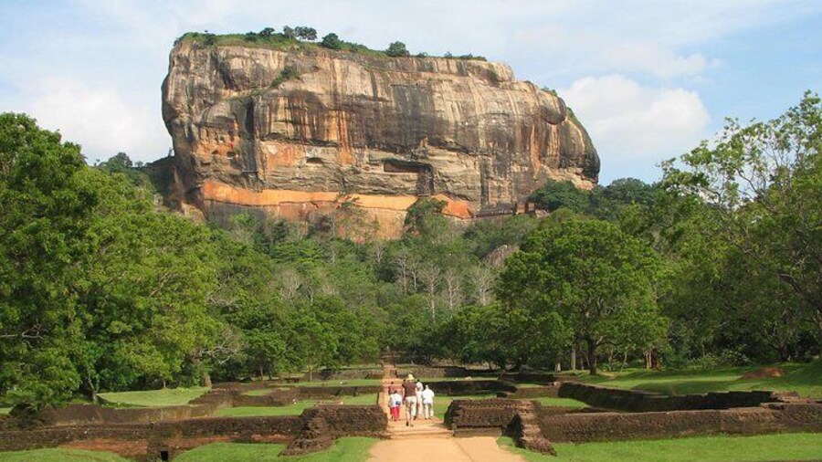 Day Tour to Sigiriya Rock Fortress & Dambulla Cave From Negombo.