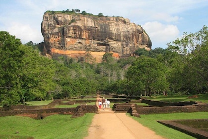 Day Tour to Sigiriya Rock Fortress and Dambulla Cave From Negombo