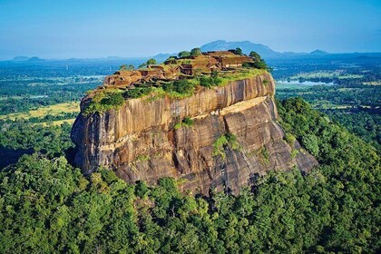 Day Tour to Sigiriya Rock Fortress and Dambulla Temple From Kandy