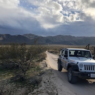 Joshua Tree National Park Jeep Tour