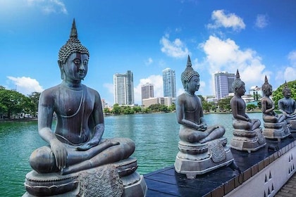 Full-Day Colombo City Tour (Private Car)