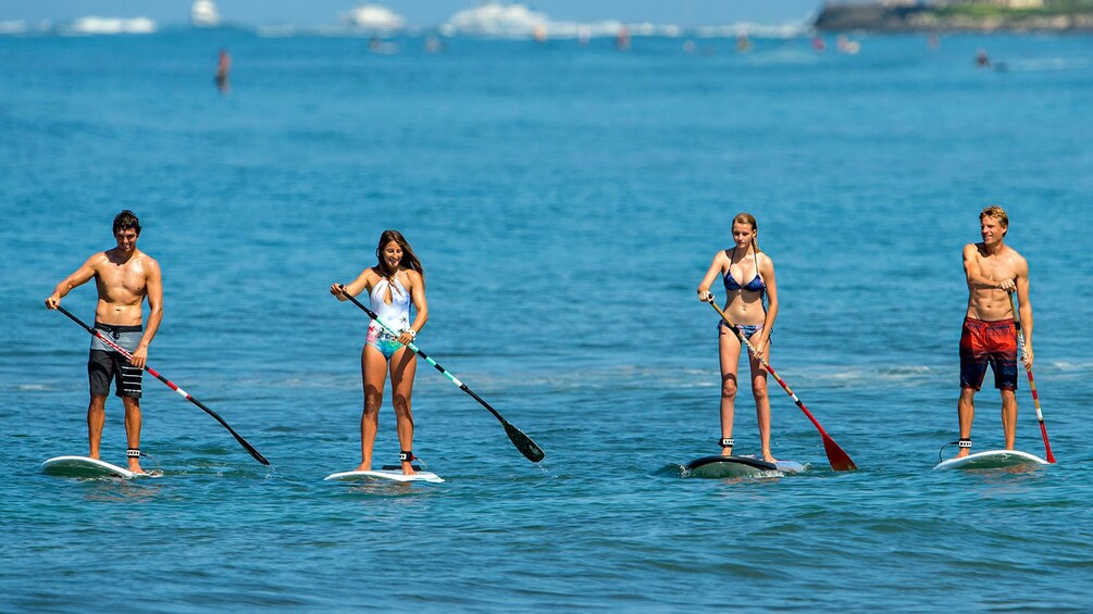 Four people in bathing suits paddle boarding