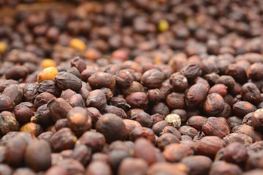 Natural Coffee