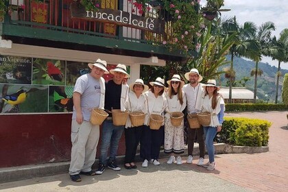 Coffee Tour at the Finca del Café