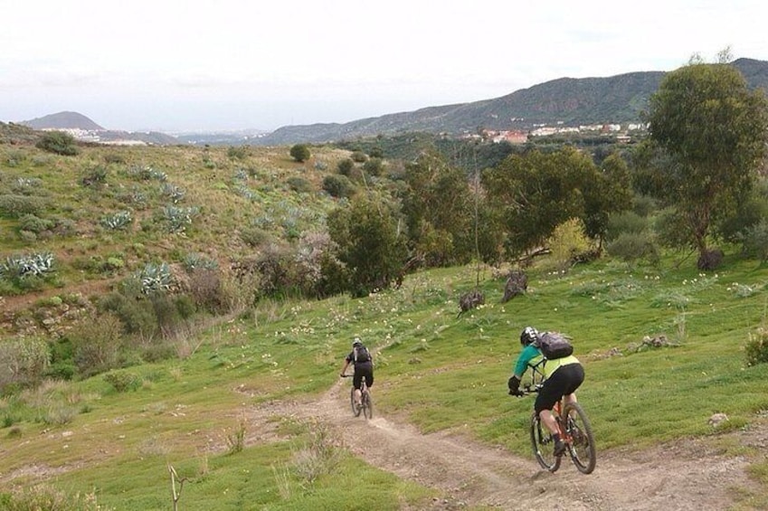 Enduro MTB Tours