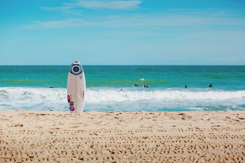 Puerto Vallarta Sayulita Life -  Beach Tour