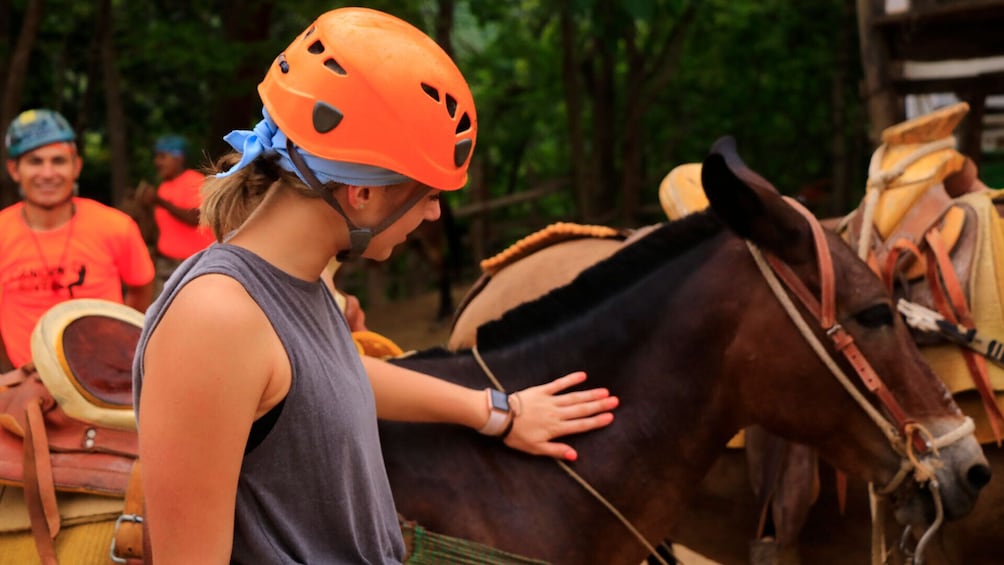Girl petting a horse before a ride