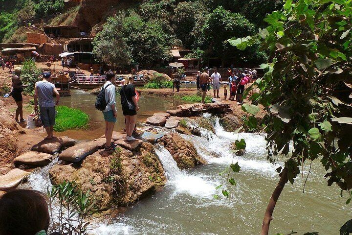 Marrakech: Ouzoud Waterfalls Day Trip & Optional Boat Ride