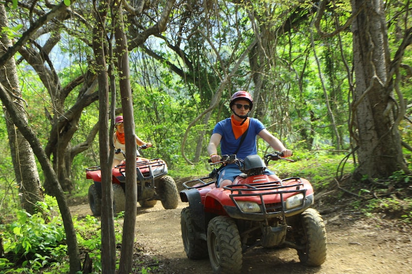 Winding through trees on an ATV Adventure