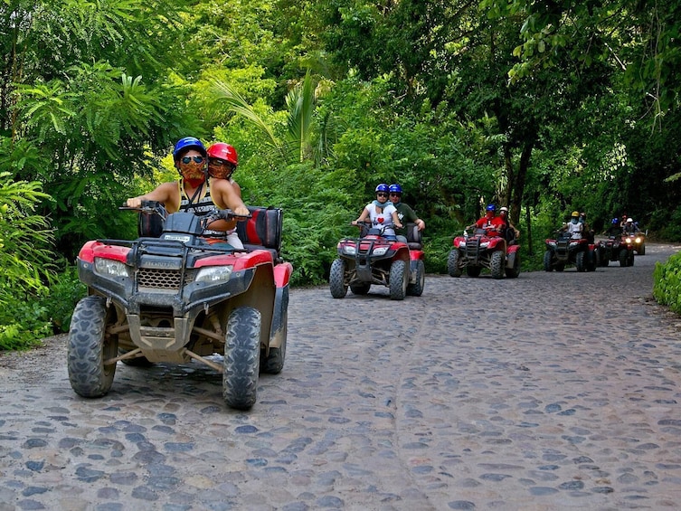 Group of ATVs 