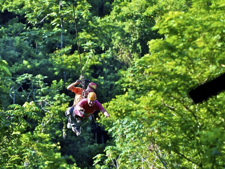 Ziplining through the trees