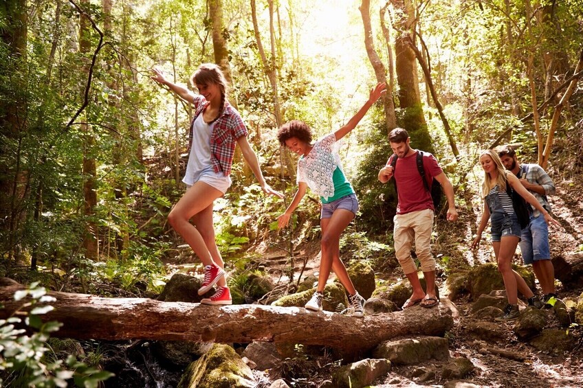  Hiking group balances on log 