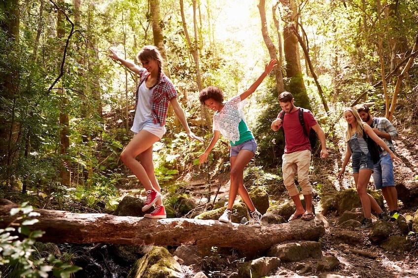 Hiking group balances on log