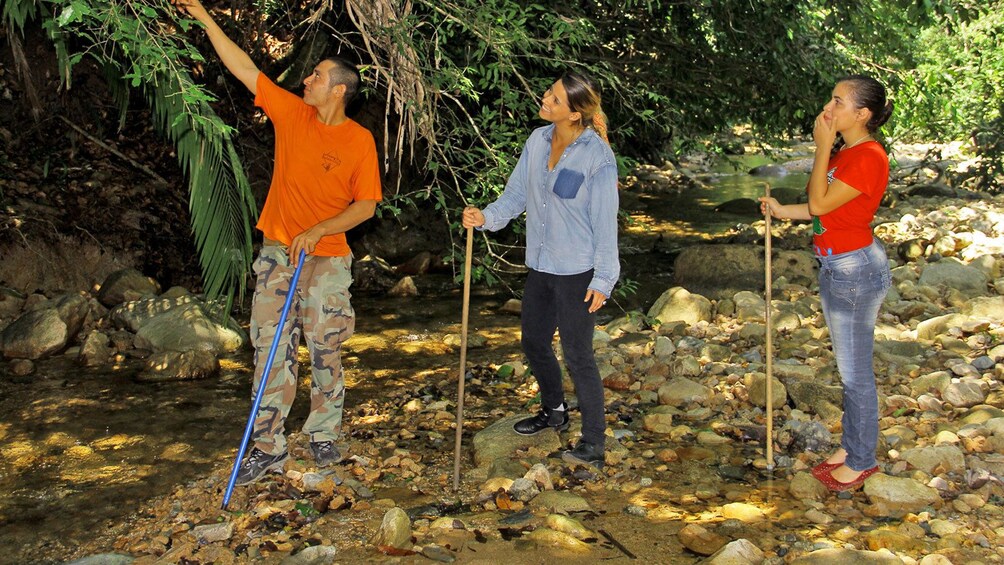 Hiking group along a river in Puerto Vallarta