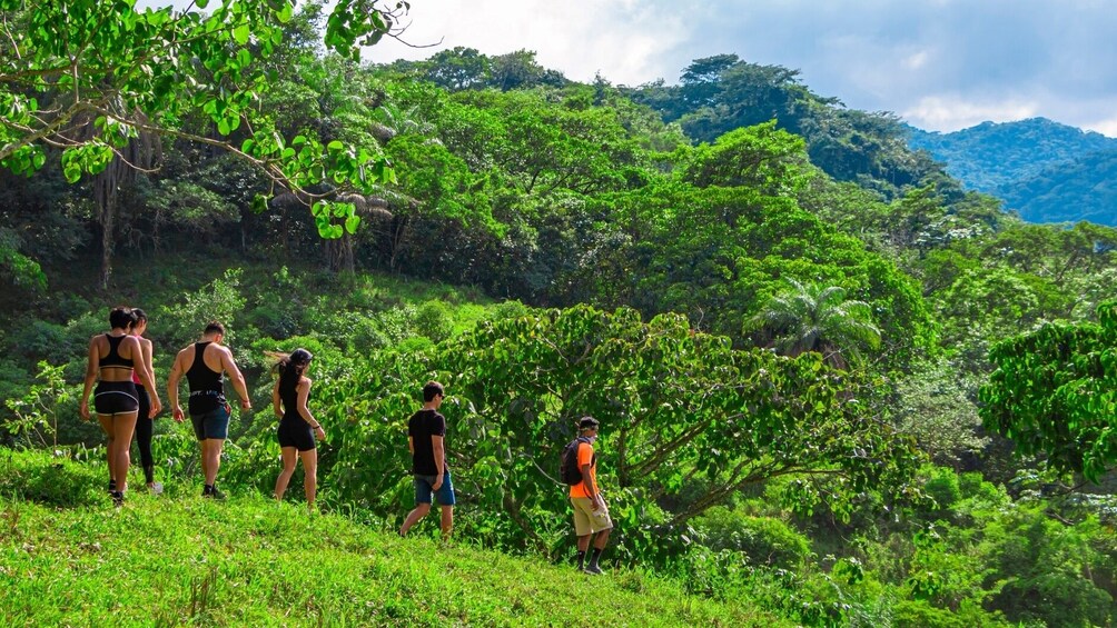  Hiking group in lush countryside