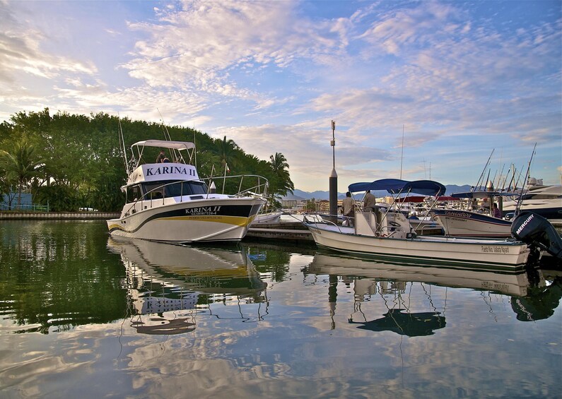 Sport Fishing Tour Boat docked