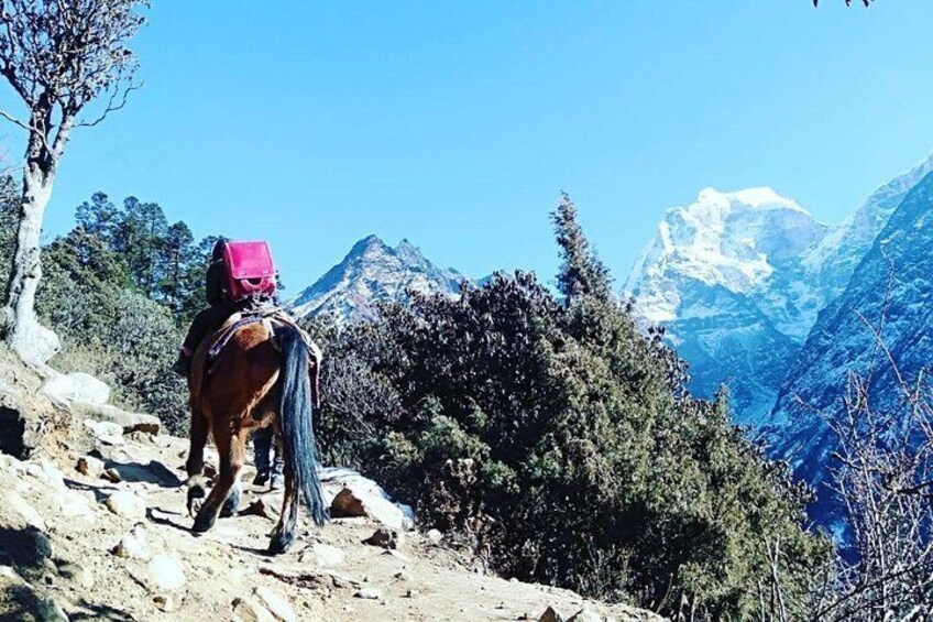 Trekking trails