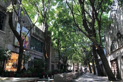 Foshan Classic Old Town Tour
