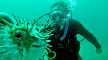 Discover Scuba Diving Experience for Beginners