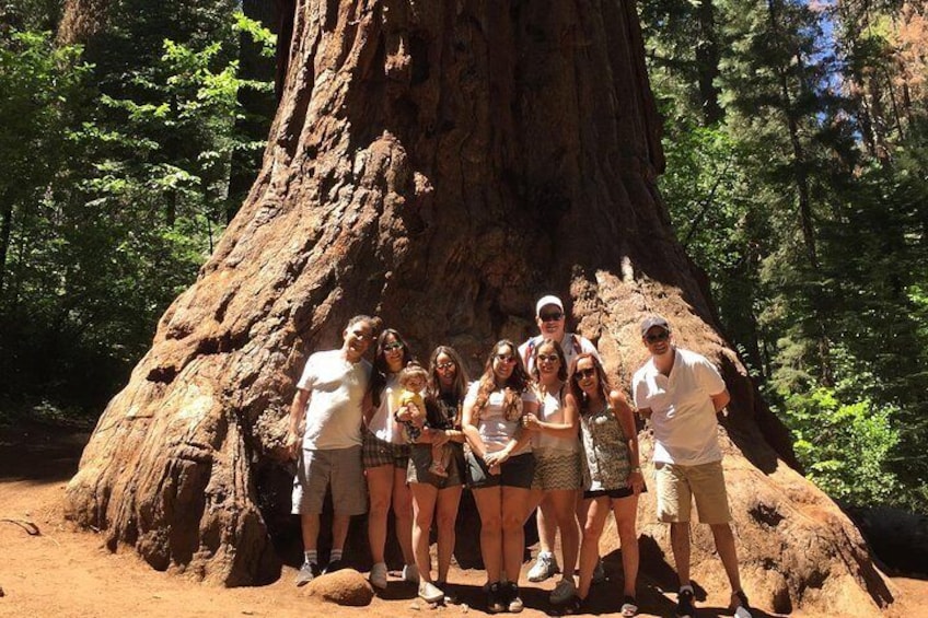 Giant Sequoia Tour